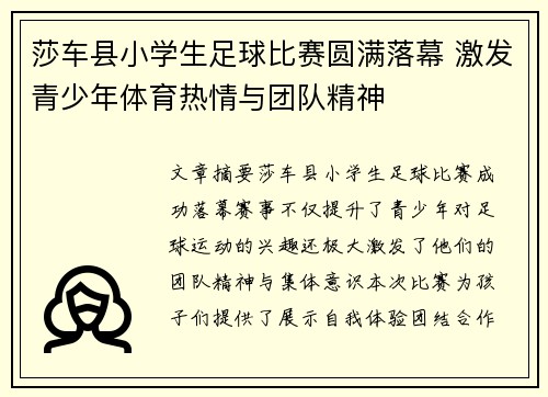 莎车县小学生足球比赛圆满落幕 激发青少年体育热情与团队精神