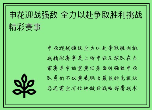 申花迎战强敌 全力以赴争取胜利挑战精彩赛事