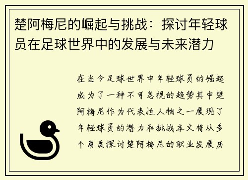 楚阿梅尼的崛起与挑战：探讨年轻球员在足球世界中的发展与未来潜力